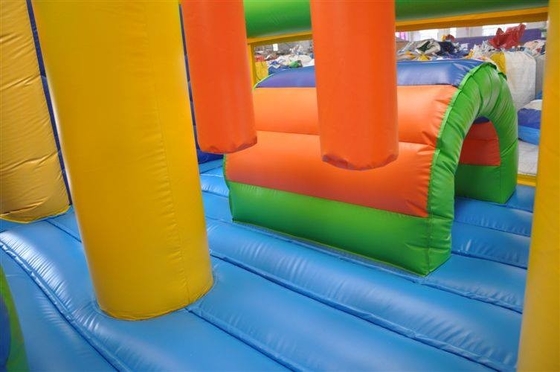 Castelo inflável do leão-de-chácara da corrediça do castelo de Theme Inflatable Jumping do palhaço