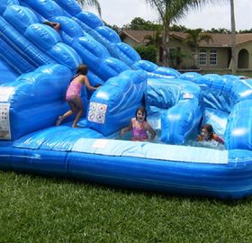 Pista dupla inflável enorme azul de Comercial da corrediça de água da baleia para crianças