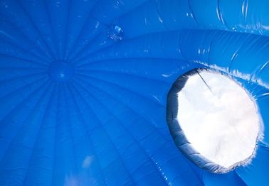 Leão-de-chácara inflável do Moonwalk dos peixes de Seaworld com corrediça, capacidade de 8 povos