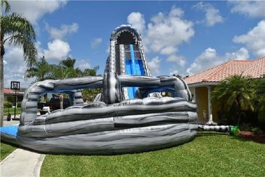 Associação inflável personalizada das corrediças de água da pista dupla do jardim para o divertimento