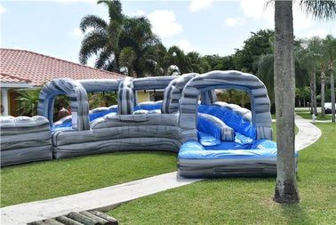 Associação inflável personalizada das corrediças de água da pista dupla do jardim para o divertimento