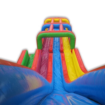 a água inflável colorida de três corrediças do PVC de 0.55mm desliza o tema exterior dos desenhos animados