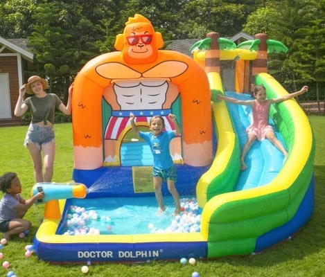Corrediça do doutor Dolphin Inflatable Water para a casa do salto da água da criança com associação do respingo