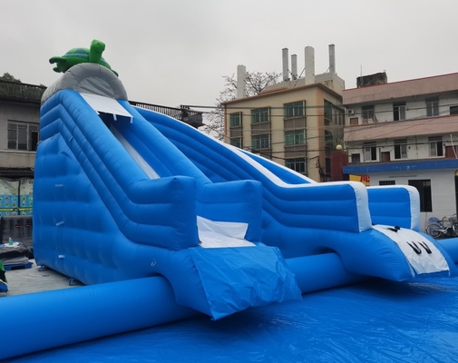 Corrediça inflável comercial do PVC com a grande corrediça do leão-de-chácara da associação combinado