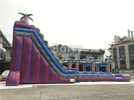 Corrediças de água infláveis dos desenhos animados comerciais coloridos com arrendamentos da corrediça de água da associação grandes