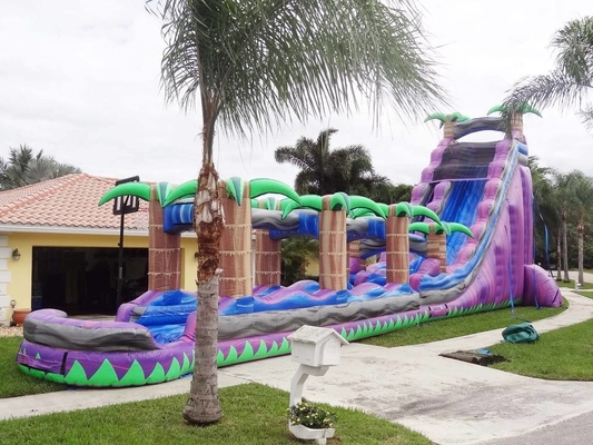 Corrediças de água infláveis dos desenhos animados comerciais coloridos com arrendamentos da corrediça de água da associação grandes
