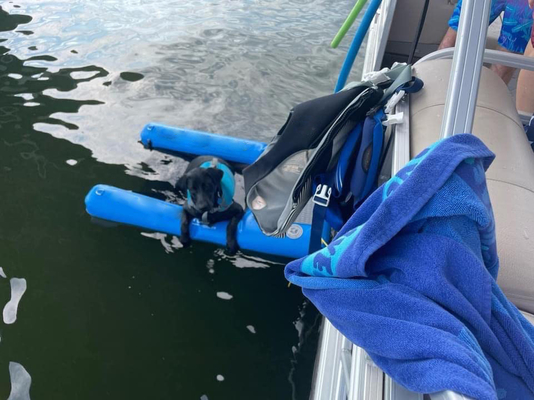 EVA espuma portátil dobrável rampa de água de barco para cães para água