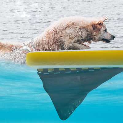 Rampa de água inflável extra grande para barco, piscina de cães Rampa inflável leve para cães Escadaria suave para cães, plataforma de corrida