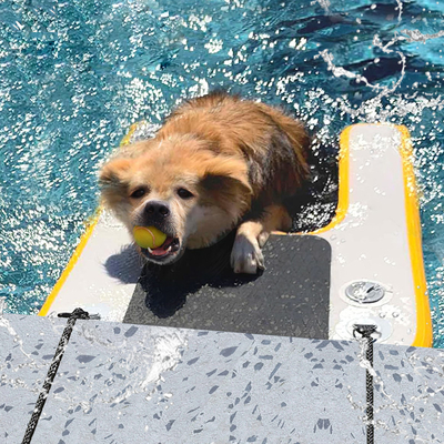 Rampa de água inflável extra grande para barco, piscina de cães Rampa inflável leve para cães Escadaria suave para cães, plataforma de corrida