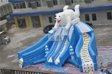 Corrediça nova bonita gigante da piscina de urso, corrediça inflável da associação para o parque de diversões
