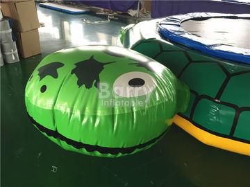 Tartaruga inflável do ODM com material de encerado do Pvc dos bens 0.9mm da corrediça