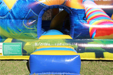 Leão-de-chácara inflável dos sequazes do PVC de Plato para o divertimento das crianças/casa de salto do salto do castelo