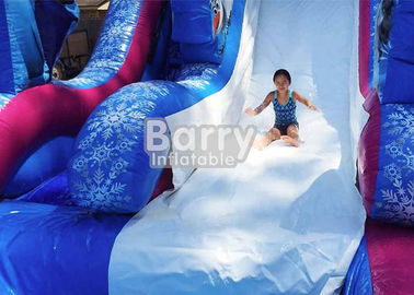 corrediça de água inflável congelada PVC de 0.55mm com associação/jogo gigante do parque da água do divertimento