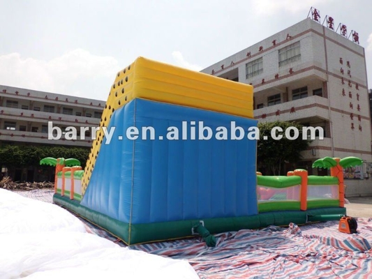 Castelo inflável do leão-de-chácara do tema da corrediça do parque de diversões do ISO 18000