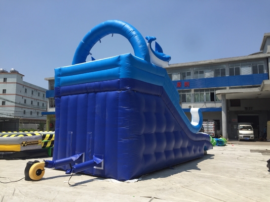 Castelos infláveis do leão-de-chácara do divertimento inflável comercial da corrediça de água