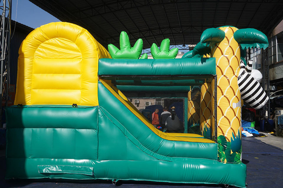 Castelo Bouncy de salto inflável da casa de encerado das crianças combinado com corrediça