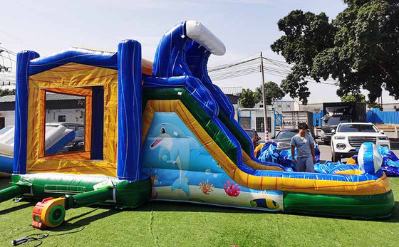 Casa de salto de golfinho feita sob medida com deslizamento do mundo subaquático temático castelo de saltos para crianças