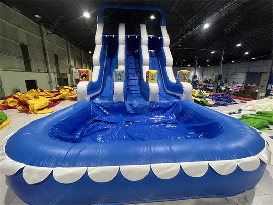 Parque de diversões Jardim ao ar livre Big Kid Slides de água duplos infláveis para adolescentes pátio traseiro