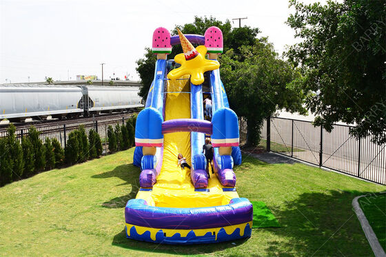 Amazing 24 ft Ice Cream Inflatable Slide Inflatable Water Slide for Sale
