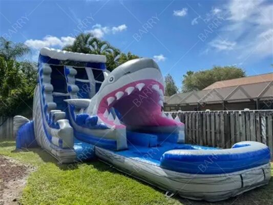 Indoor Outdoor Castillo Inflable Bouncer Shark Theme Slide com piscina Inflable Water Double Slides For Kids