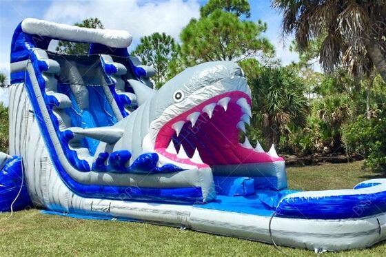 Indoor Outdoor Castillo Inflable Bouncer Shark Theme Slide com piscina Inflable Water Double Slides For Kids