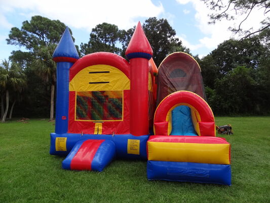 Platão PVC inflável Bouncer Para Crianças Fun / Jumping Castle Bounce House