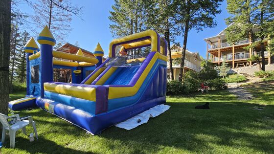 Platão PVC inflável Bouncer Para Crianças Fun / Jumping Castle Bounce House