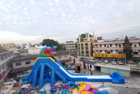 Corrediça super do parque de diversões de Dragon Inflatable Water Slides Adult