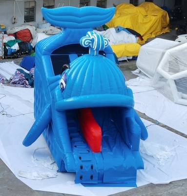 A água inflável comercial desliza o quintal da casa do projeto da baleia