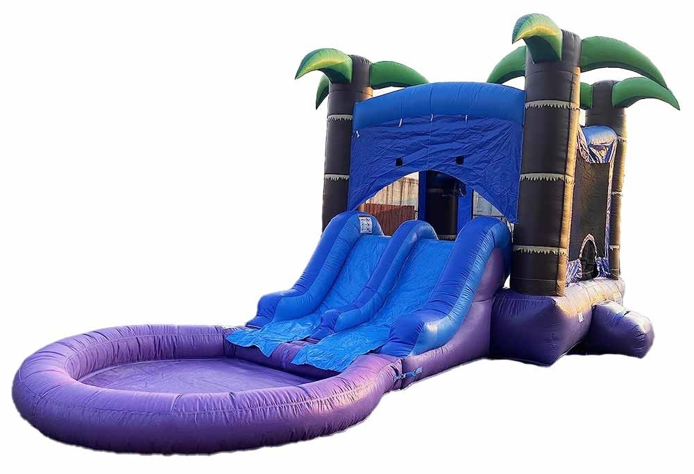 Bate-papo personalizado com 2 escorregadores e piscina molhada ou seca