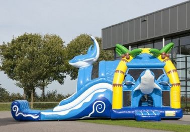 2 nos castelos Bouncy grandes de 1 golfinho infláveis com maluco Dual a corrediça para Amucement