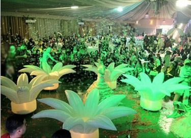 Luzes infláveis conduzidas fantásticas do girassol para a proposta de união romântica