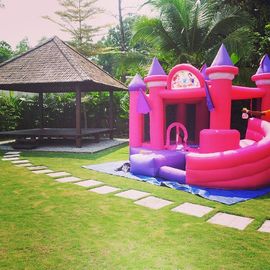 A princesa cor-de-rosa Inflável Bouncy Castelo, salto inflável fortifica para o partido da menina