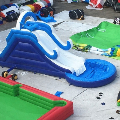 Corrediças de água infláveis da onda azul que escalam a parede com tema dos desenhos animados da associação
