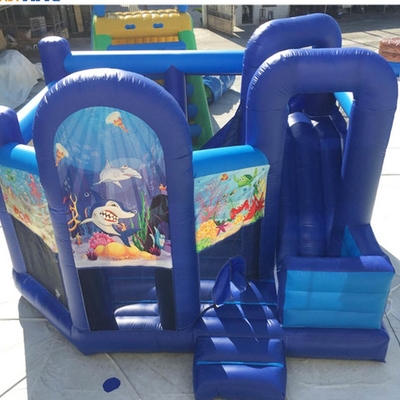 Corrediça inflável da princesa Bounce House With do quintal EN71