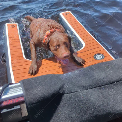 Logotipo personalizado aceito Dobrável Escadaria Inflavel de Cão Piscina Para Cães Trunco Com Kit de Reparação Acessório