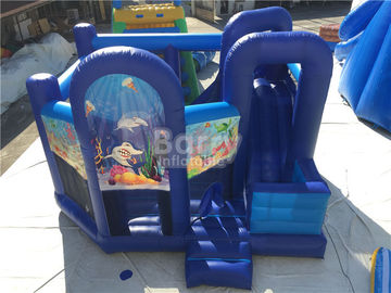 Leão-de-chácara inflável personalizado/castelo Bouncy inflável com corrediça