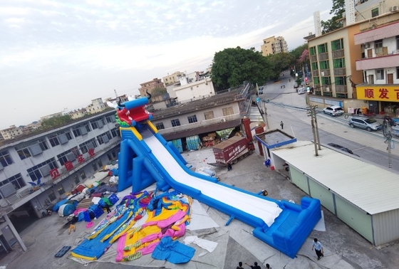 Corrediça super do parque de diversões de Dragon Inflatable Water Slides Adult